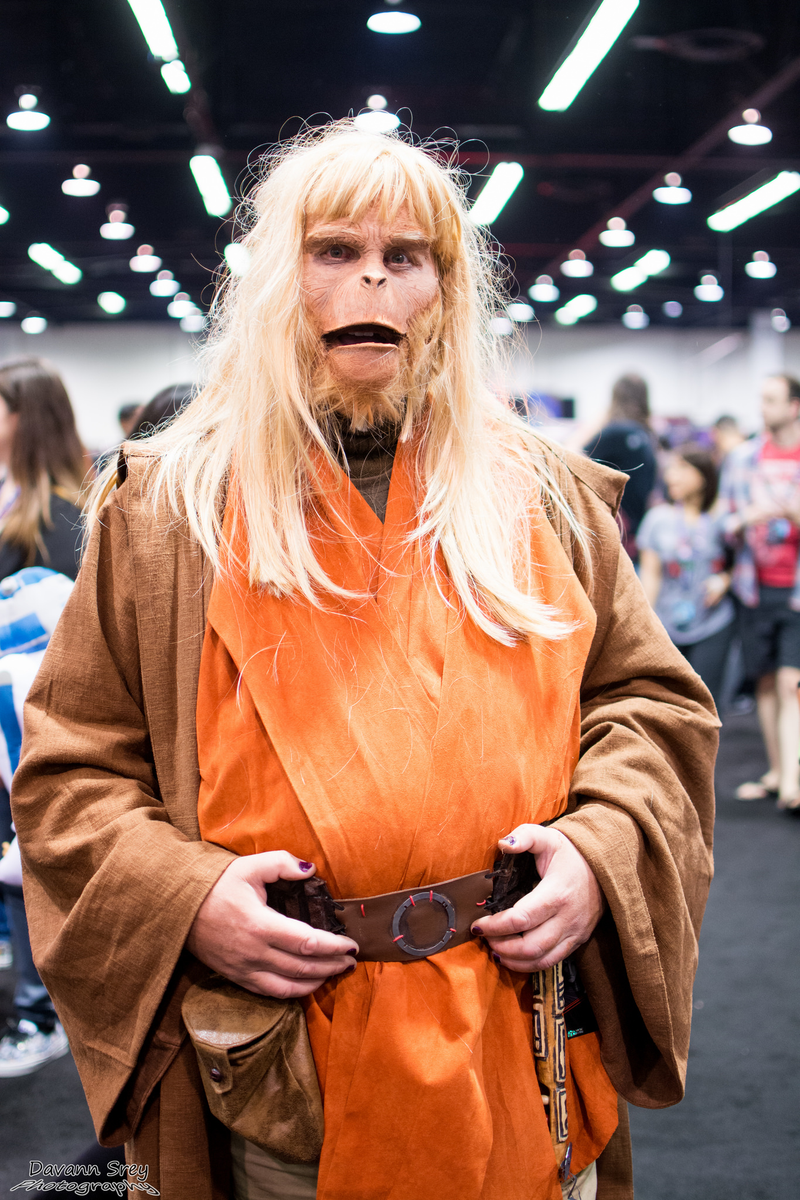 Illustration for article titled The Most Incredible Cosplay From This Weekend's Star Wars Celebration!